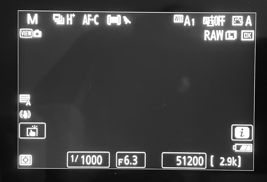 Z52screen.jpg