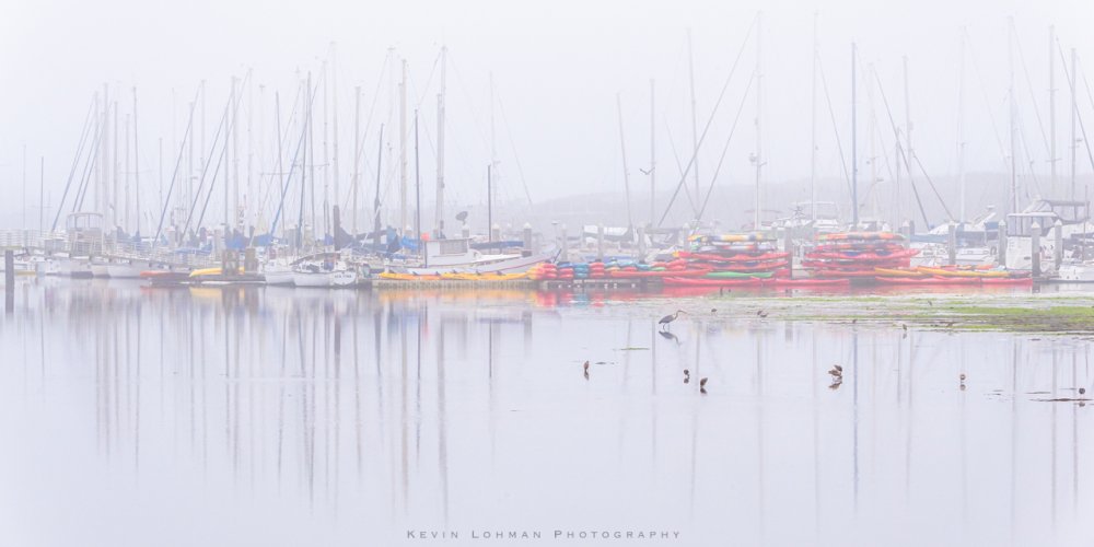 Moss Landing Harbor - Misty Morning