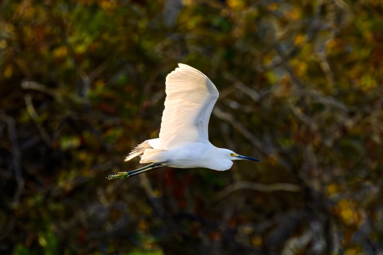 A couple more shots from Hilton Head, SC