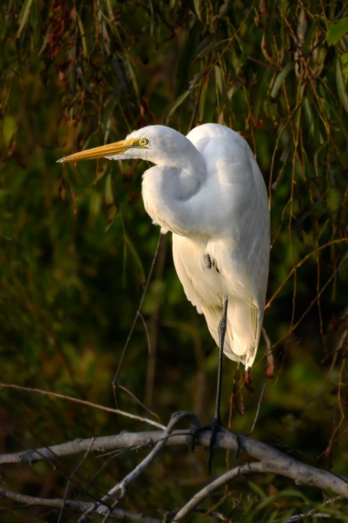 A couple more shots from Hilton Head, SC