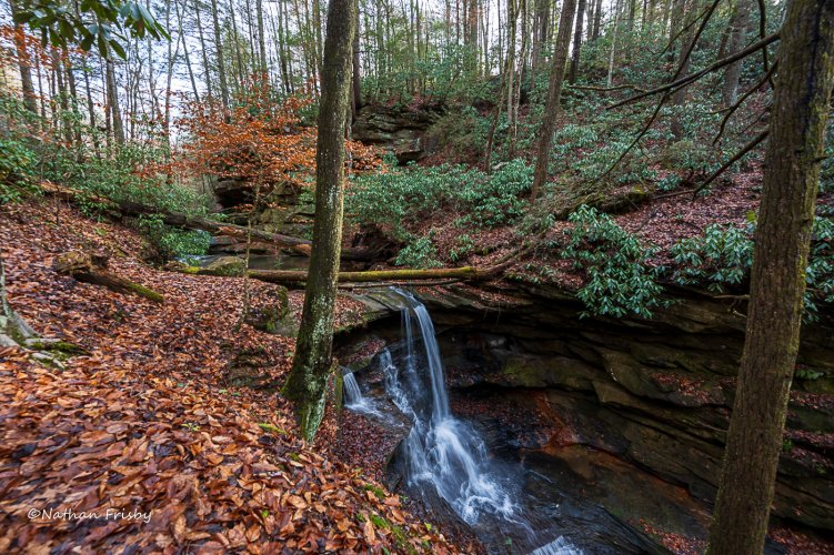 "Mudlick Falls"