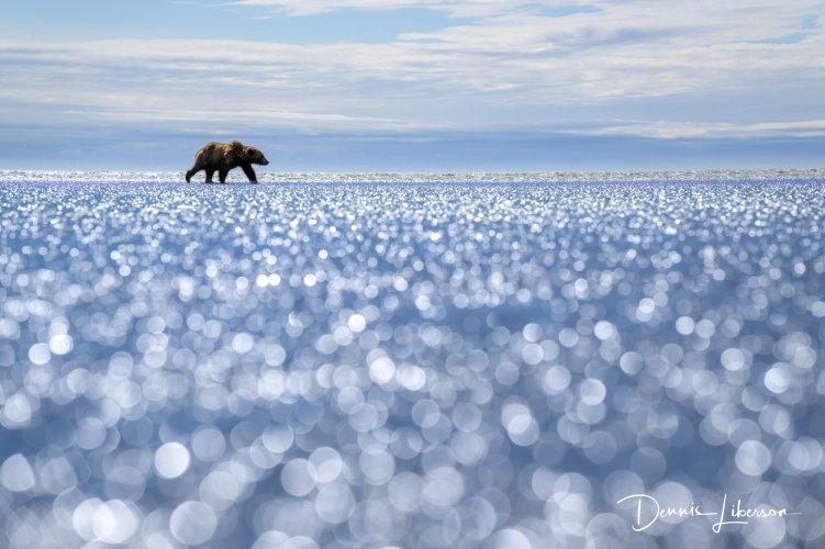 Post Your Best Wildlife Images From 2024!