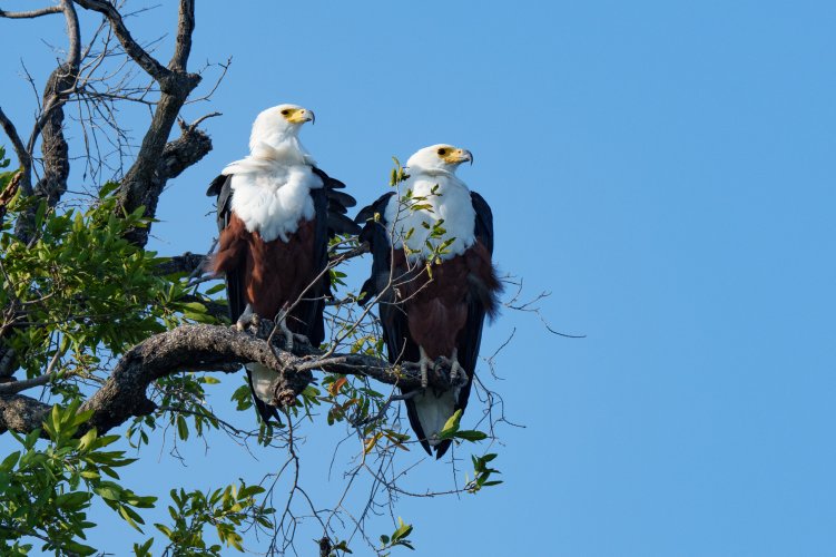 Post Your Best Wildlife Images From 2024!