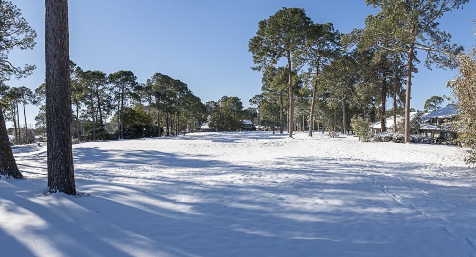 Snow... in Florida?