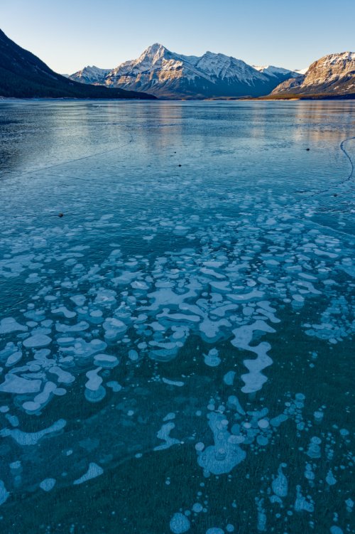 Ice Bubbles and more