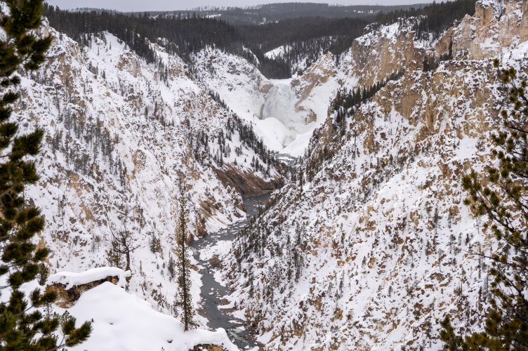 Yellowstone Canyon in Winter