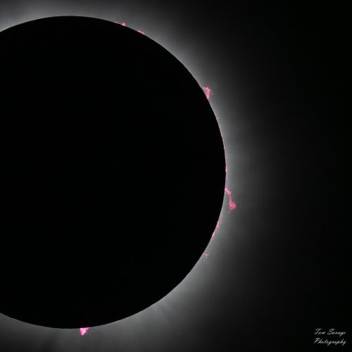 Eclipse-20240408-NZ8_8912-Enhanced-NR--FB.JPG