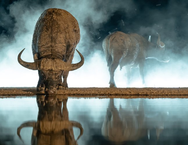 Images from the hide in Kenya