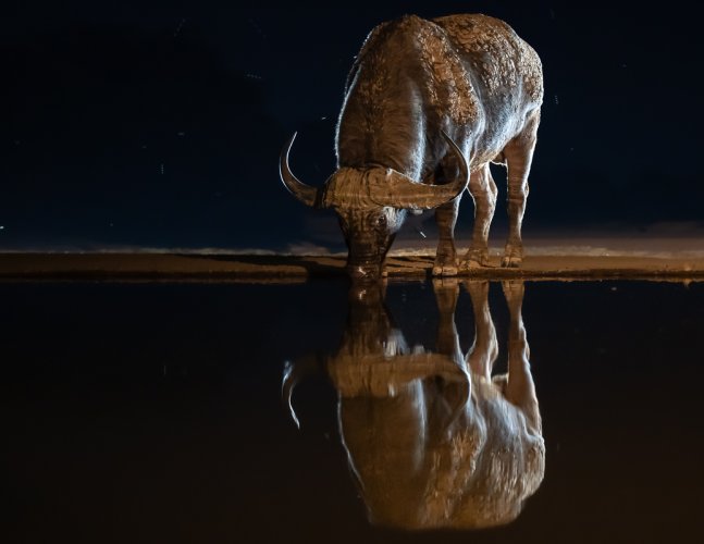 Images from the hide in Kenya