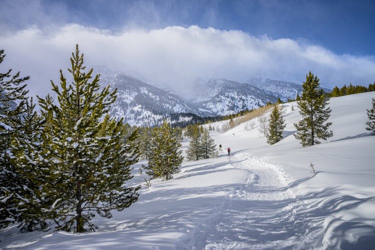 Skiers in Grand Teton National Park (Taggart Lake Trail)