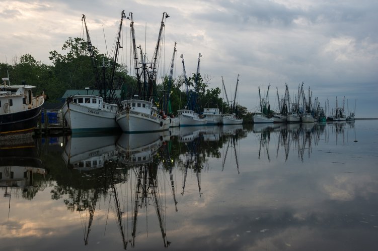 Shrimp Boats in Georgia