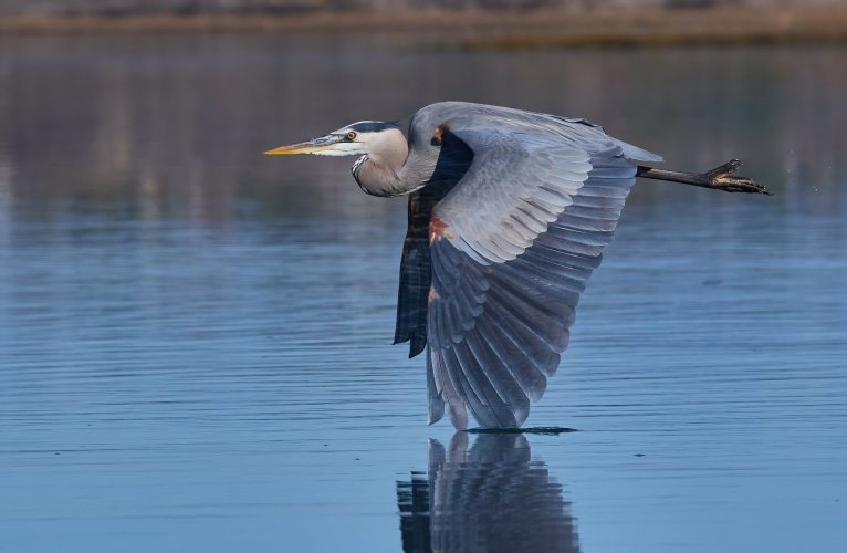 Birding/photography From Canoe/Kayak: