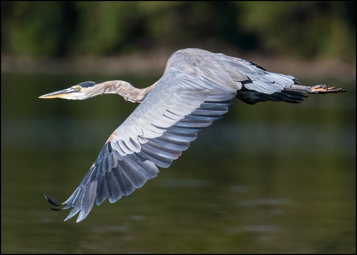 Birding/photography From Canoe/Kayak: