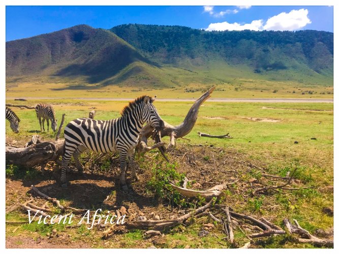 Photography Tour in East Africa, Tanzania Ngorongoro Crater