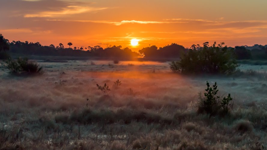 Sunrise over misty marsh