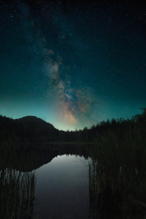 Milky Way in the Pacific NW