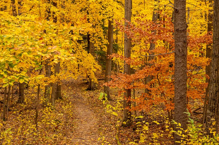 Fall colors at Potawatomi State Park Wisconsin