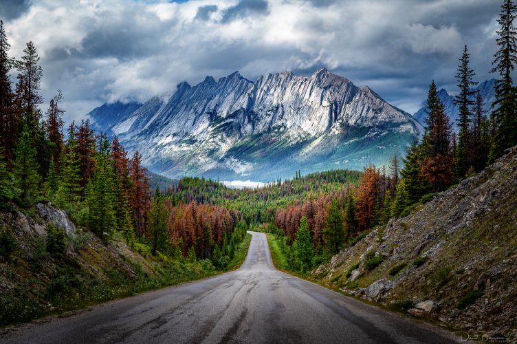 Maligne Lake Road  - Jasper Alberta