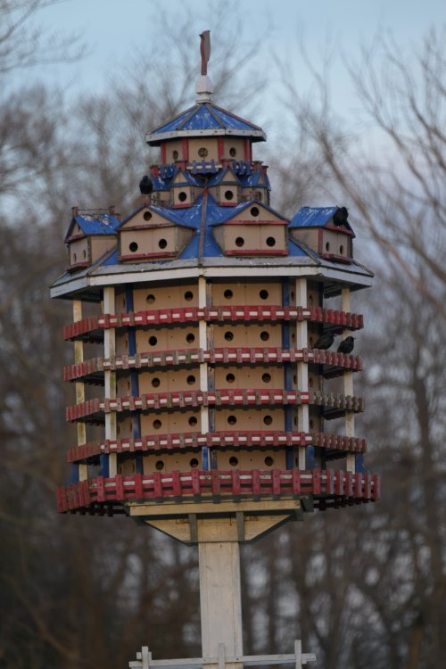 Birdhouses of Delaware with tenants.
