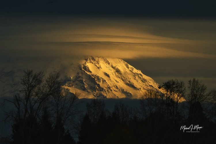 Mt Rainier in Washington State Nikon D500 200-500mm f-9 1/640 iso 400
