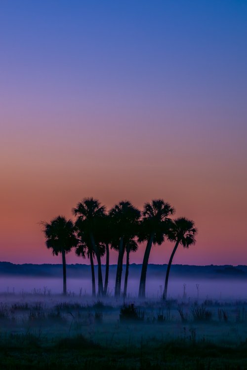 Sunrise, Indian River County, Florida
