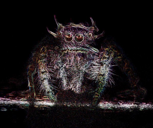 oogabooga( jumping spider with filter )