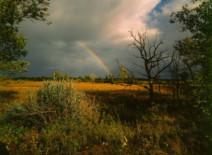 Rainbow just after a rain storm.