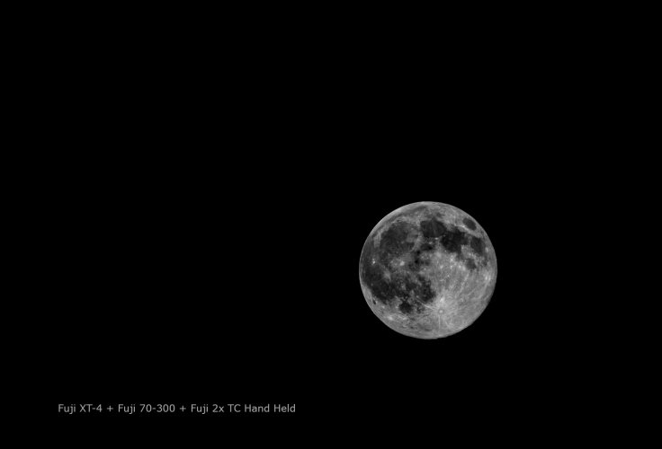 First Full Moon of 2022-030c  T.jpg