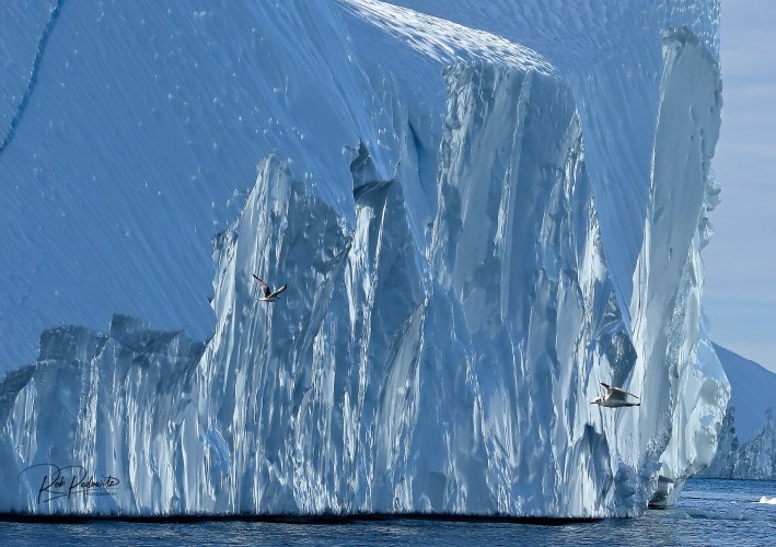 Pedowitz Greenland 2023.jpg