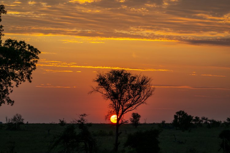 African Sunrise