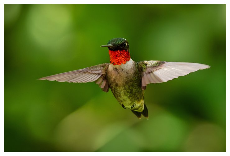 Hummer - when the light cooperates