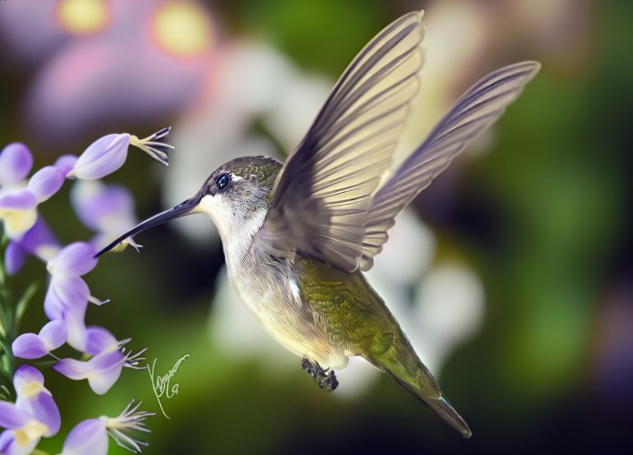 humming birds....