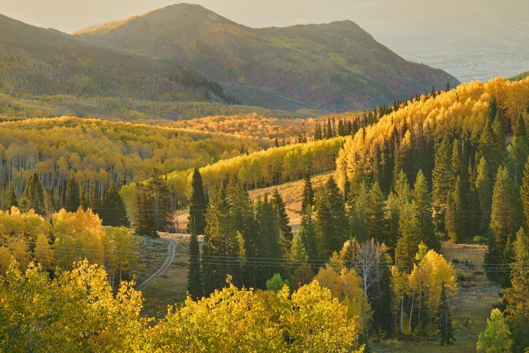 Utah Fall Colors