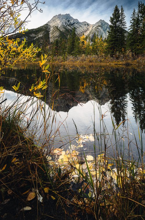 Afternoon in Kananaskis