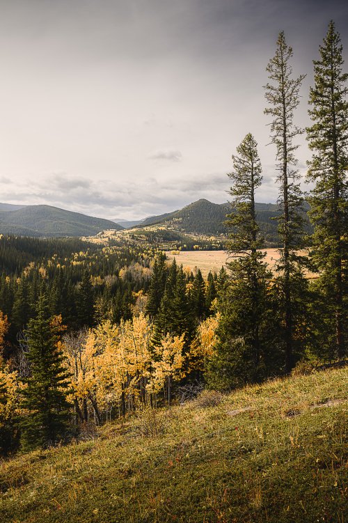 Afternoon in Kananaskis