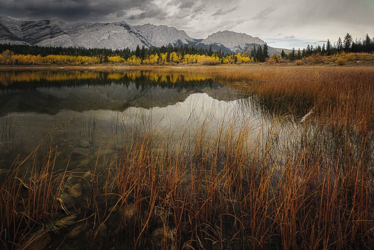 Afternoon in Kananaskis