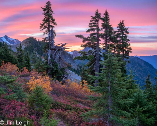 Fall Color in the High Cascades