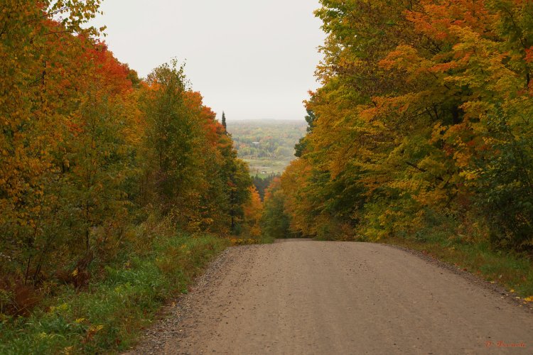 North Central Ontario In The Fall