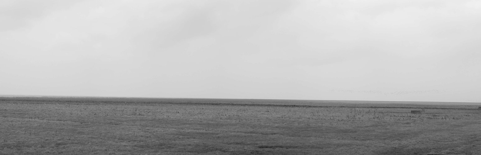 Black and white panorama (handheld)