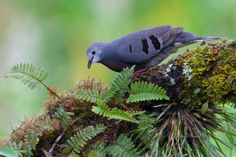 Post Your Best Wildlife Images From 2024!