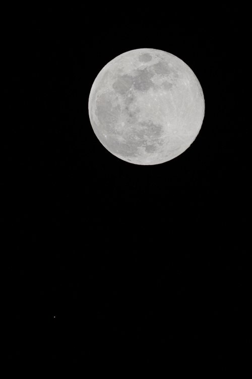 Did I capture Mars?